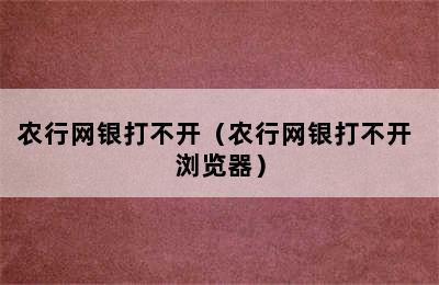 农行网银打不开（农行网银打不开 浏览器）